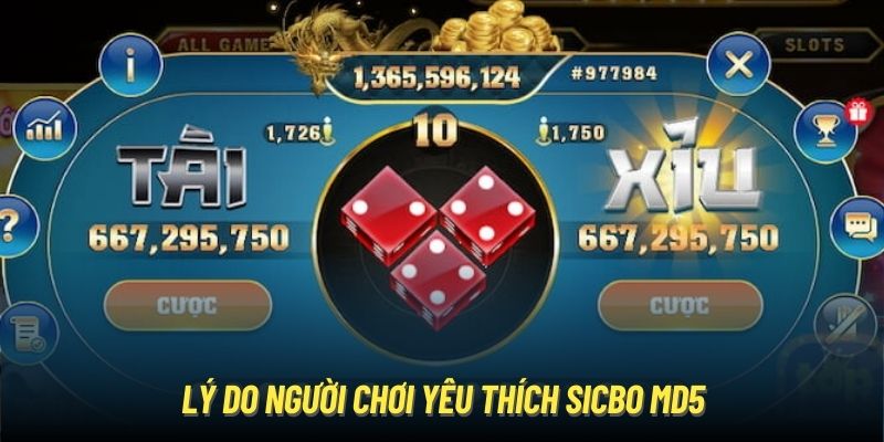 Tài Xỉu MD5 2024 - Cá Cược Sicbo Minh Bạch Và Mượt Mà Lý do người chơi yêu thích Sicbo MD5